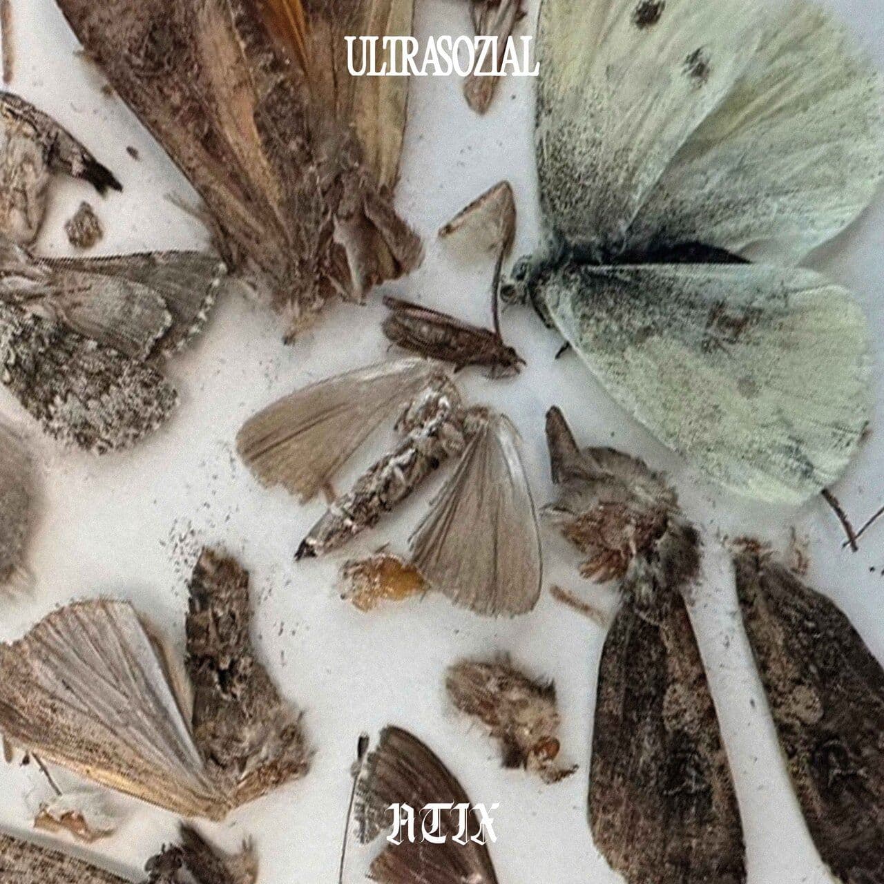 Atix-Need_Somebody-US04-24BIT-WEB-FLAC-2026-WAVED