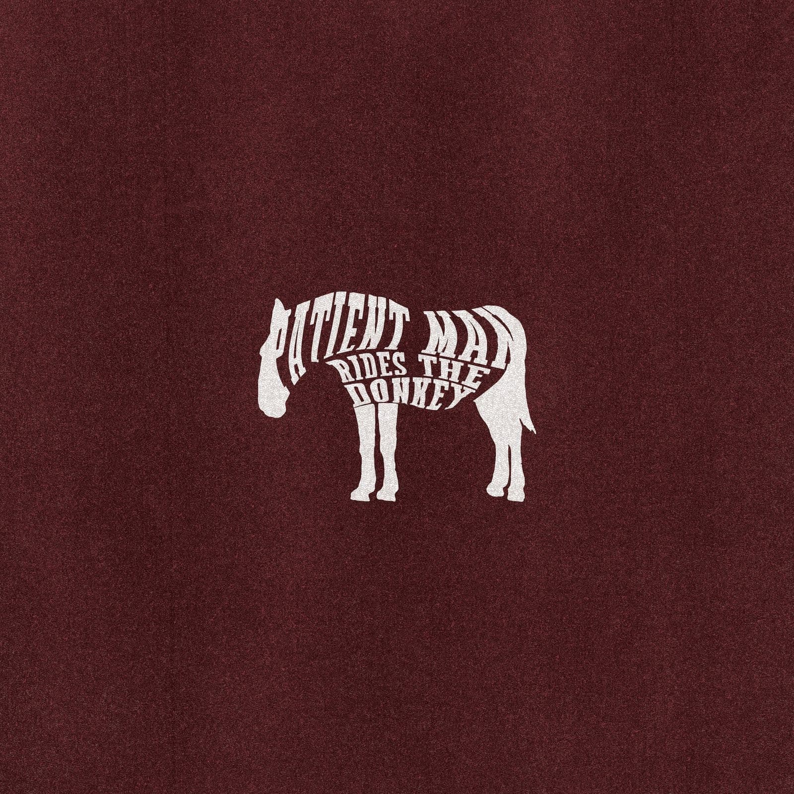 Brainorchestra-Patient_Man_Rides_The_Donkey-WEB-2026-hbZ