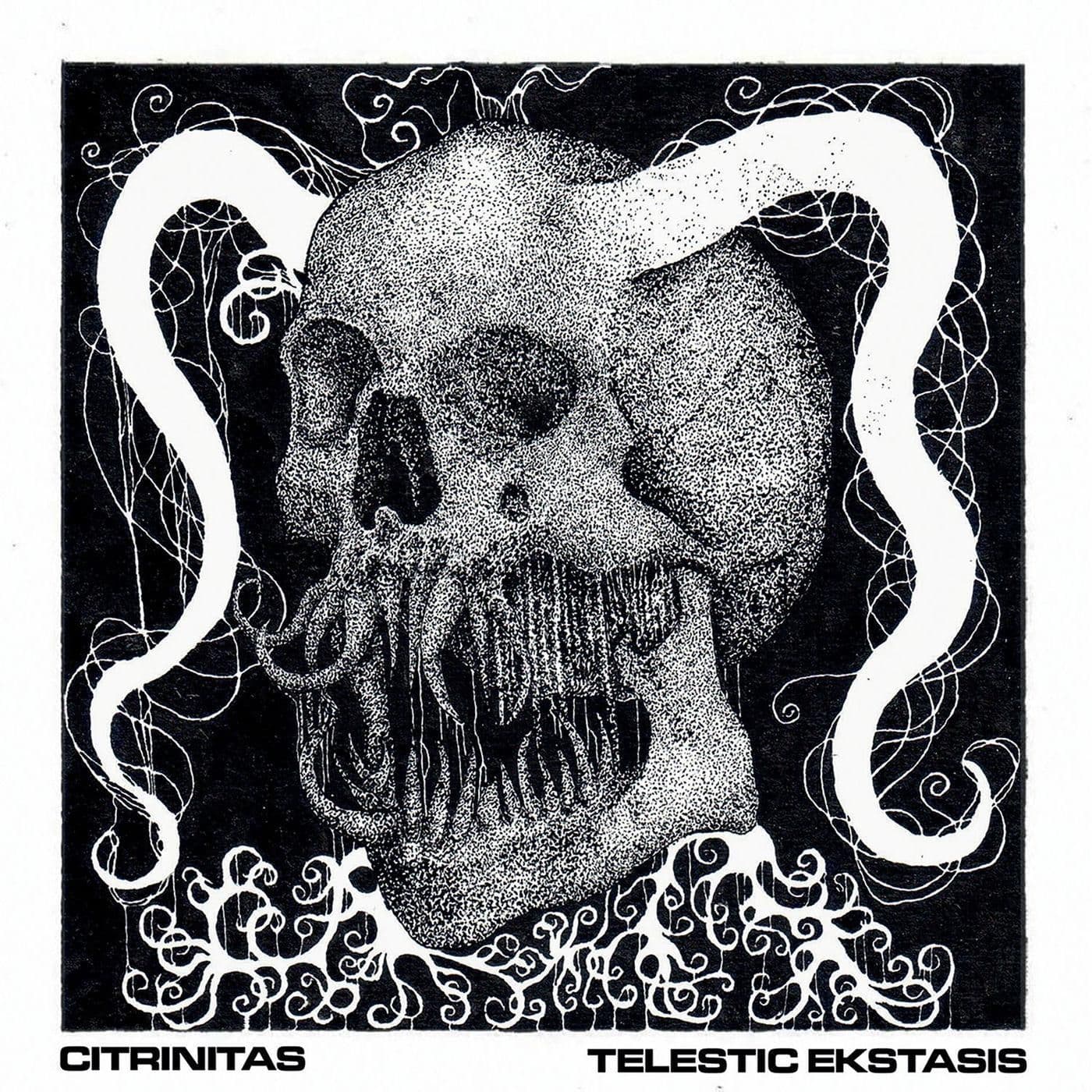 Citrinitas-Telesis_Ekstasis-DEMO-WEB-2026-ENTiTLED