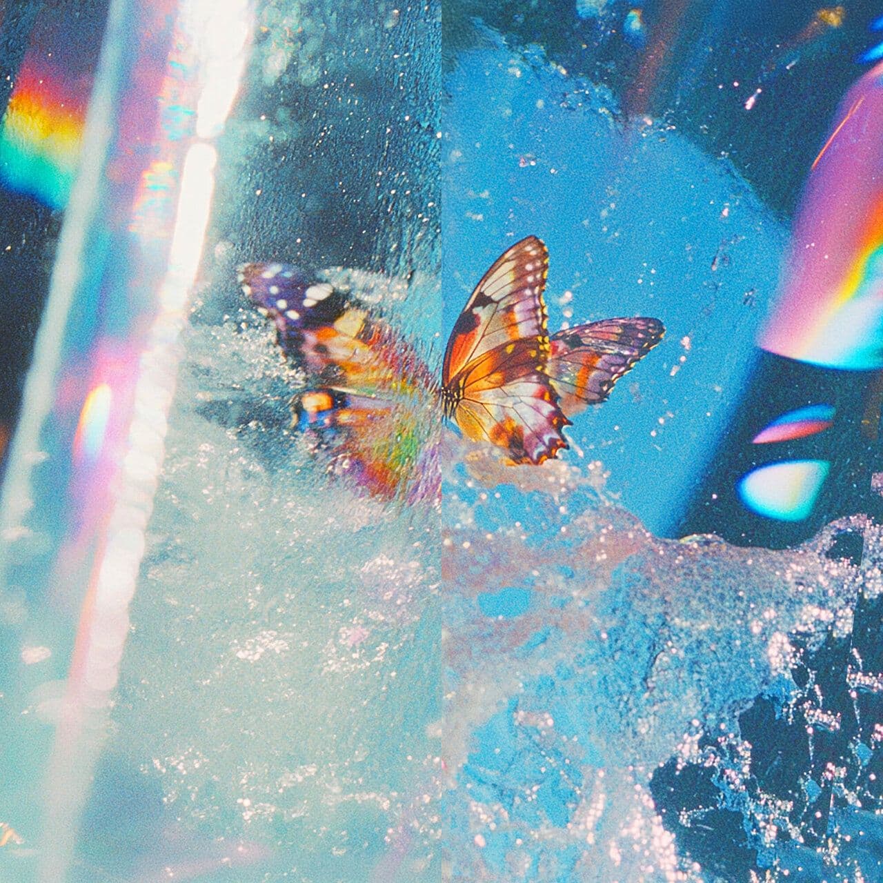 Daphni-Butterfly_Expanded_Edition_-_JIAOLONG038_-WEB-2026-BAKLAVA
