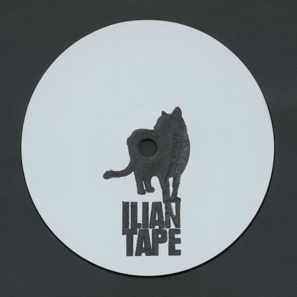 Fields_Of_Mist-Intergalactic_Rose-_ITX044_-24BIT-WEB-FLAC-2026-BABAS