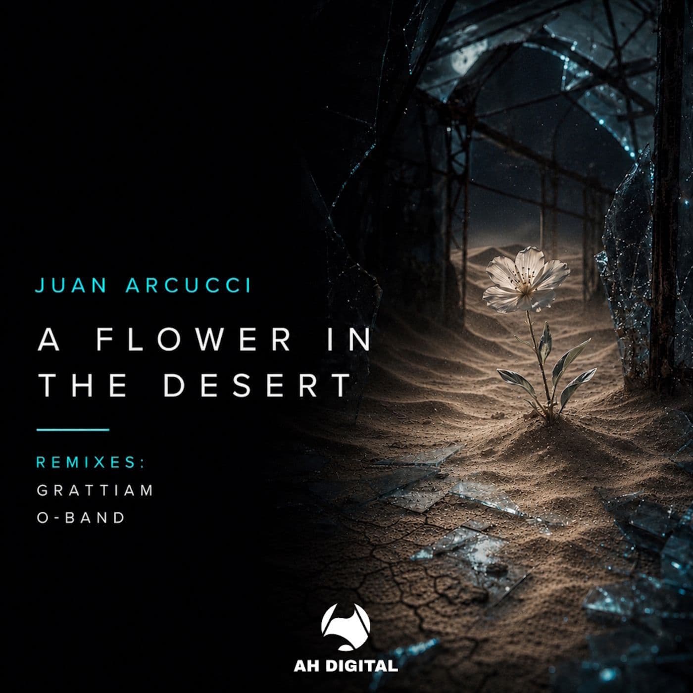 Juan_Arcucci-A_Flower_in_the_Desert-_AHD624_-WEB-2026-PTC