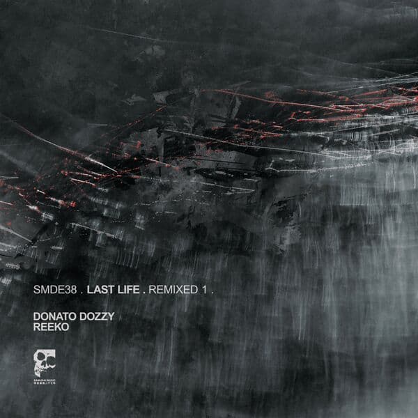 Last_Life-Remixed_1-_SMDE38_-16BIT-WEB-FLAC-2023-BABAS