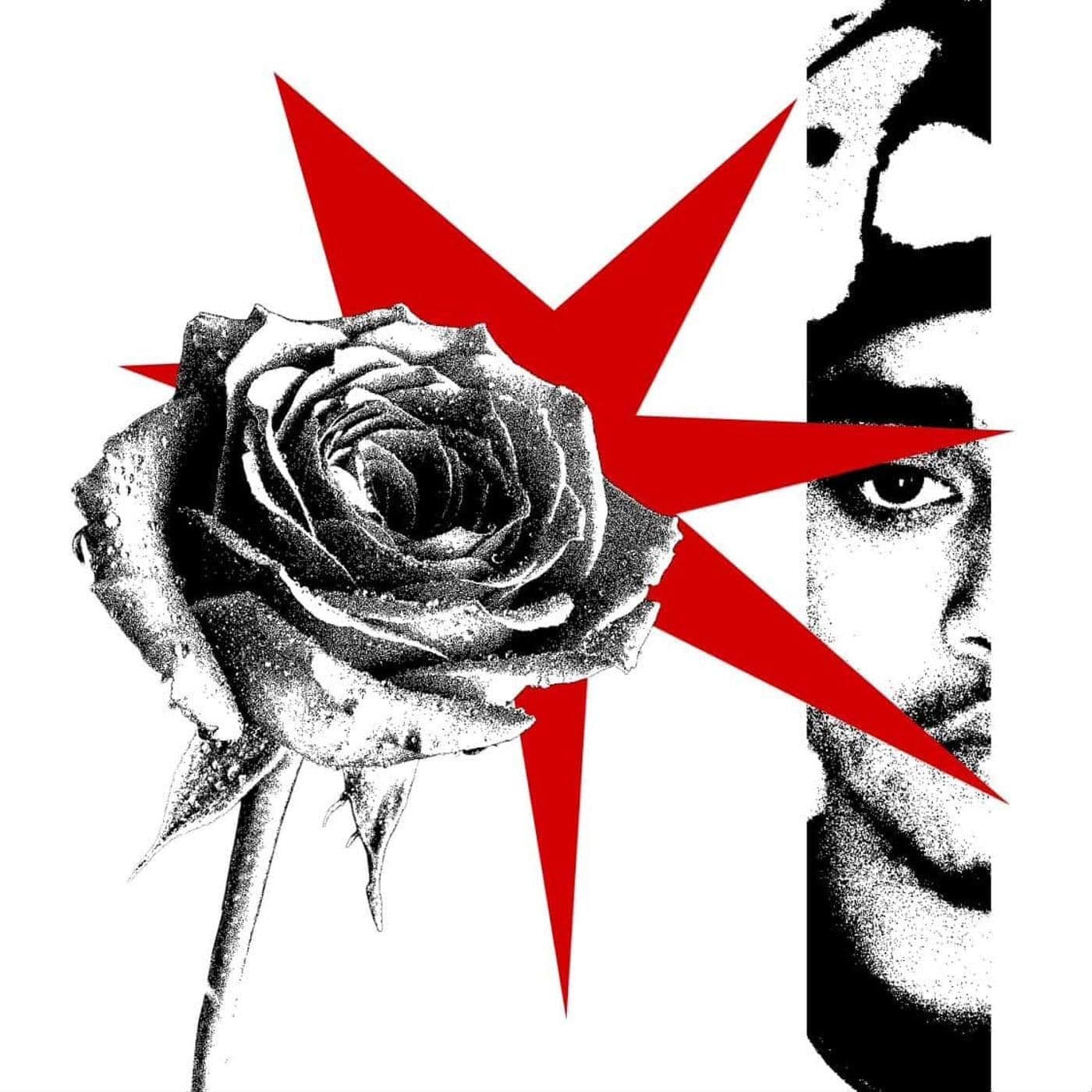 Luz-DES_ROSES_ET_DU_SANG-WEB-FR-2026-OND
