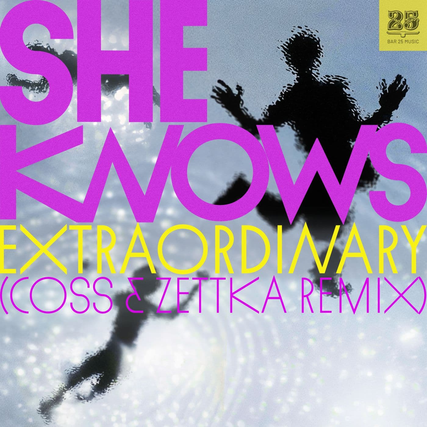 She_Knows-Extraordinary_Coss_x_Zettka_Remix_-_BAR25272_-WEB-2026-PTC