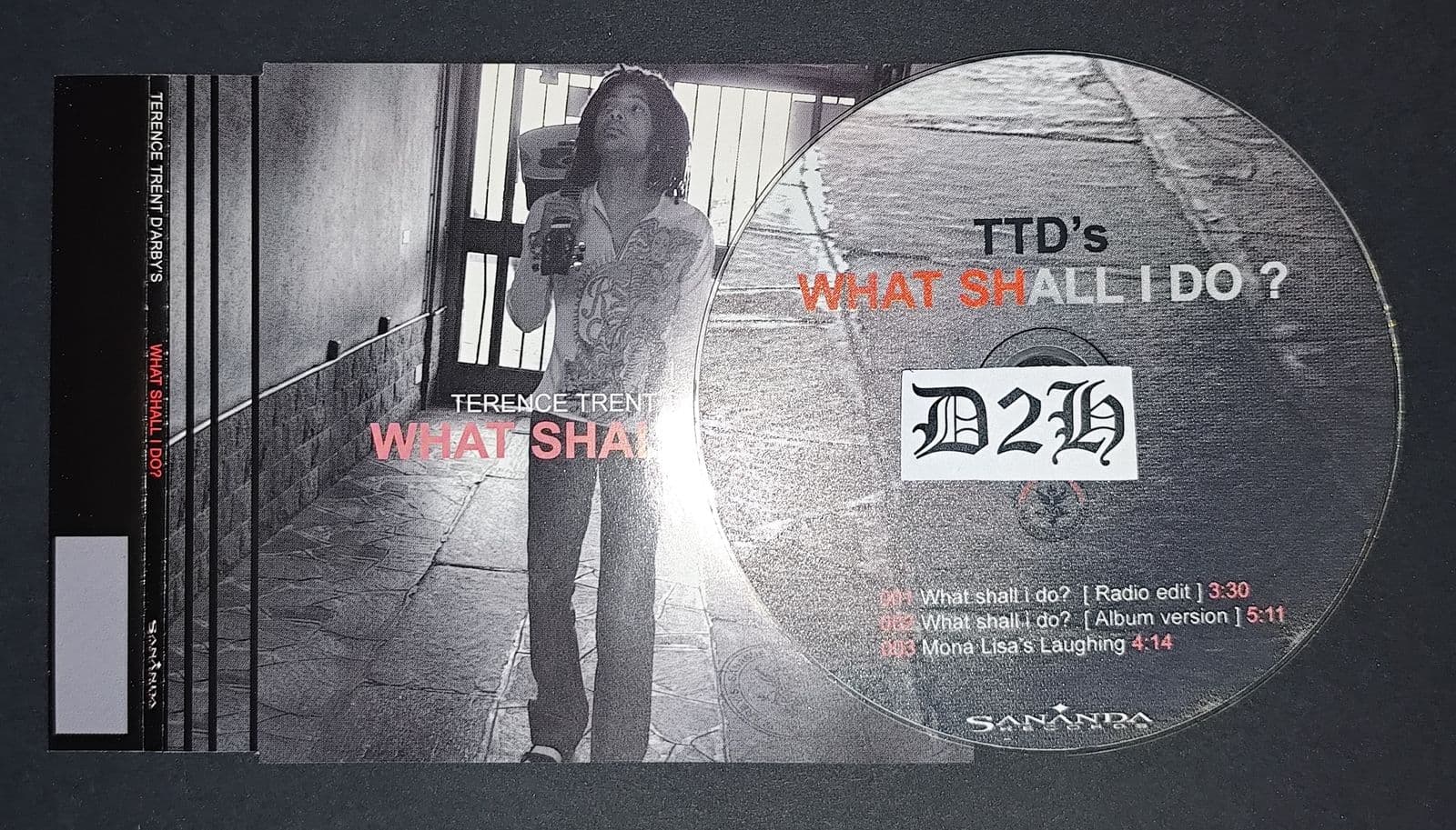 Terence_Trent_Darbys-What_Shall_I_Do-CDS-FLAC-2001-D2H