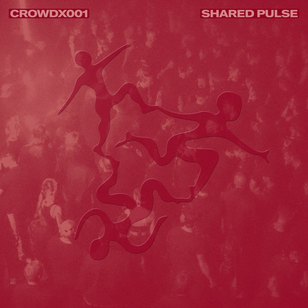VA-Shared_Pulse-CROWDX001-24BIT-WEB-FLAC-2026-WAVED