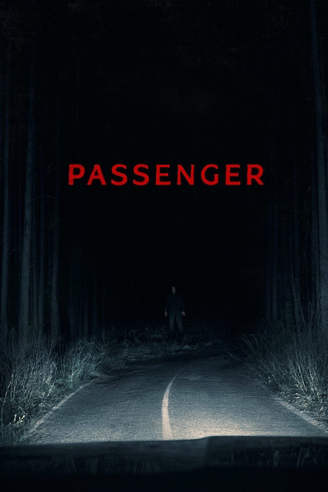 Passenger 2026 1080p WEBRip x265 10bit 5 1-YTSGGYTSBZ