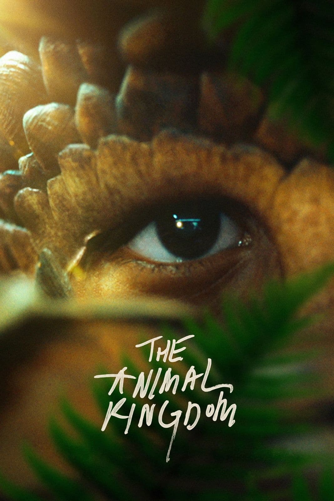 The Animal Kingdom 2023 BluRay 1080p DDP 5 1 x264-hallowed
