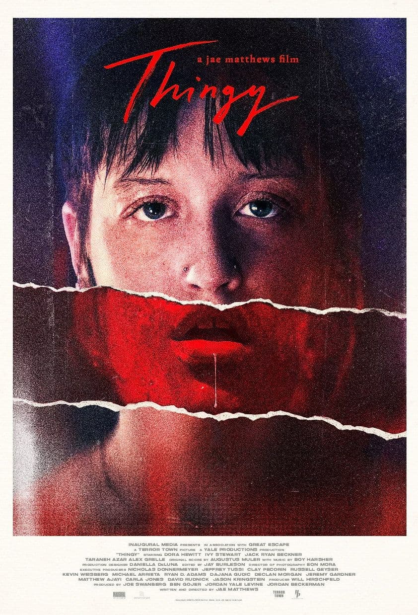 Thingy 2026 1080p AMZN WEB-DL DD 5 1 H 264-playWEB