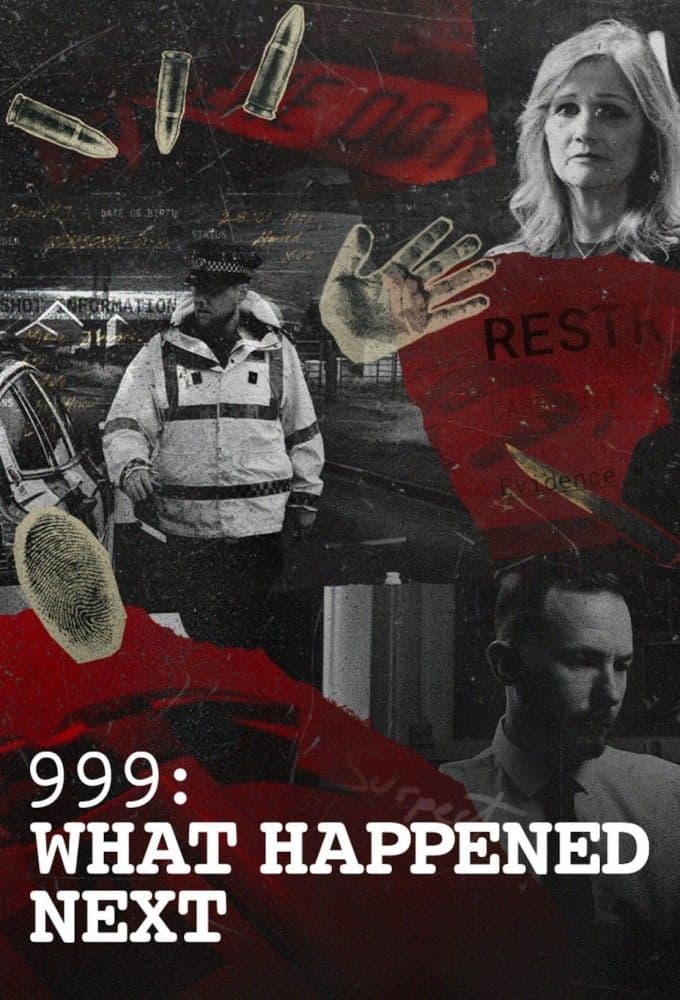 999 What Happened Next S02E02 1080p ALL4 WEB DL AAC2 0 H 264-RAWR