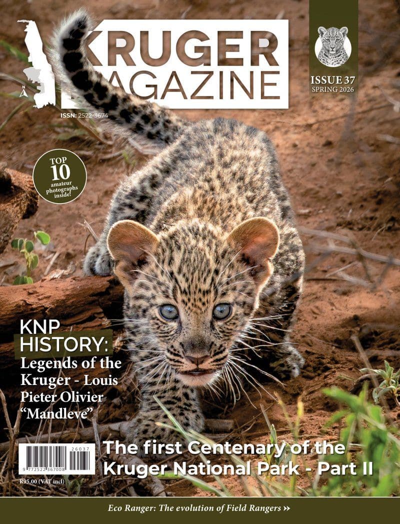 Kruger Magazine No 37 - 2026 [EN]