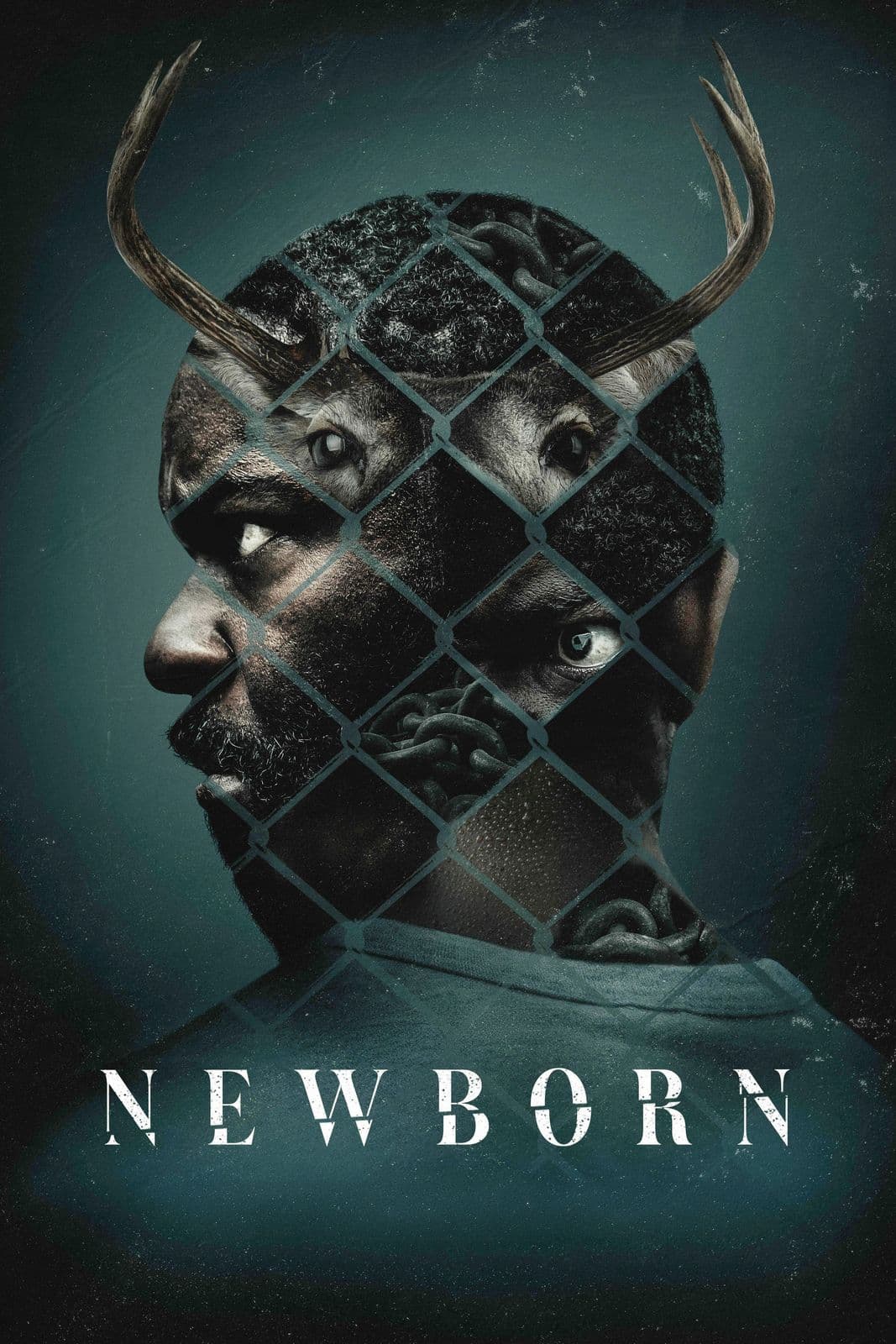 newborn 2026 web h264-rbb