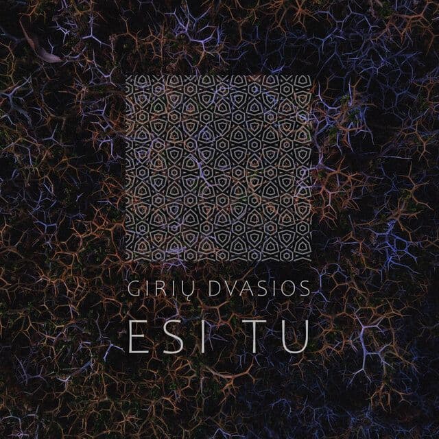 Giriu_Dvasios-Esi_Tu-_CTR209_-16BIT-WEB-FLAC-2024-BABAS