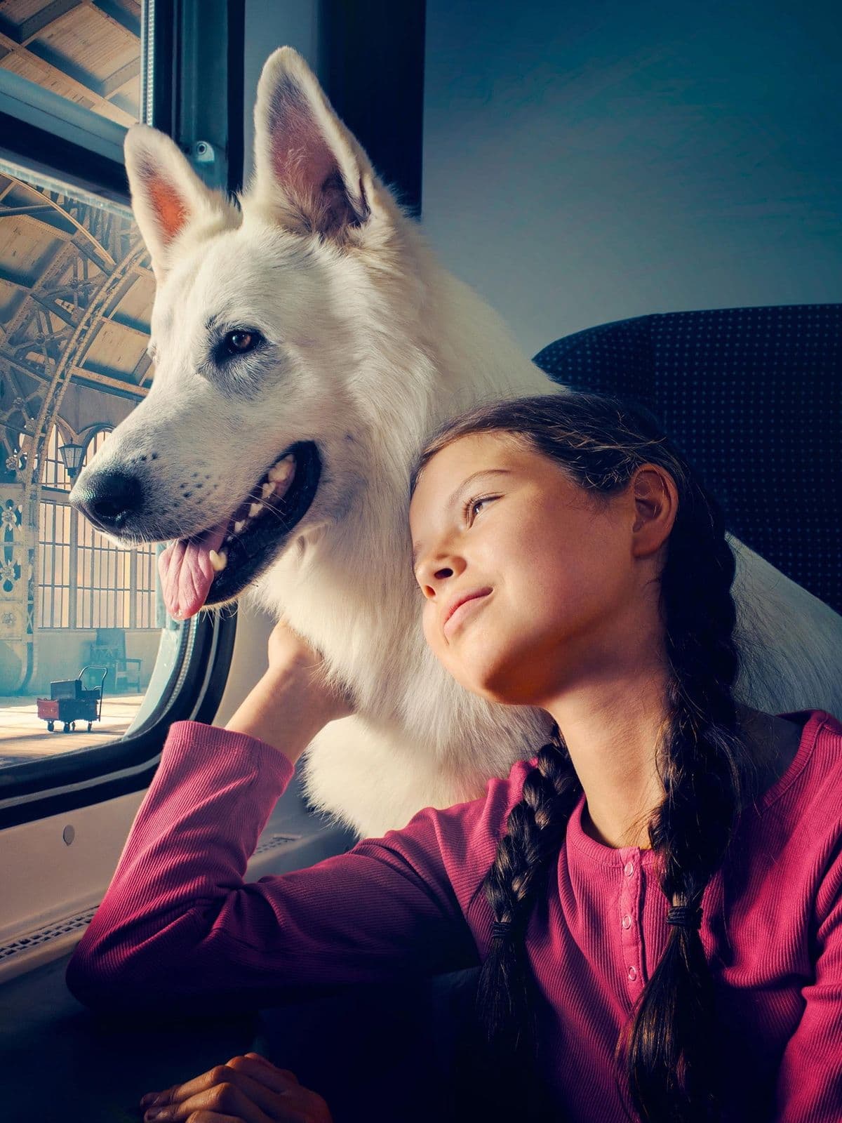The Dog Who Travelled by Train 2023 1080p WEB H264-AFO
