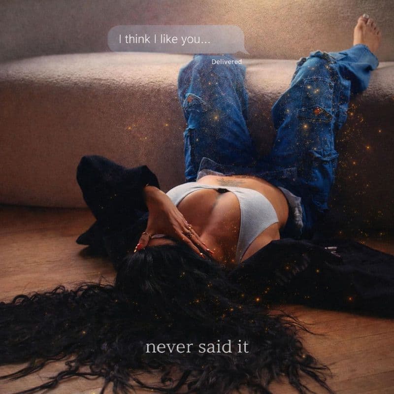 ASKYE_-_Never_Said_It-SINGLE-WEB-2026-ALTAiR