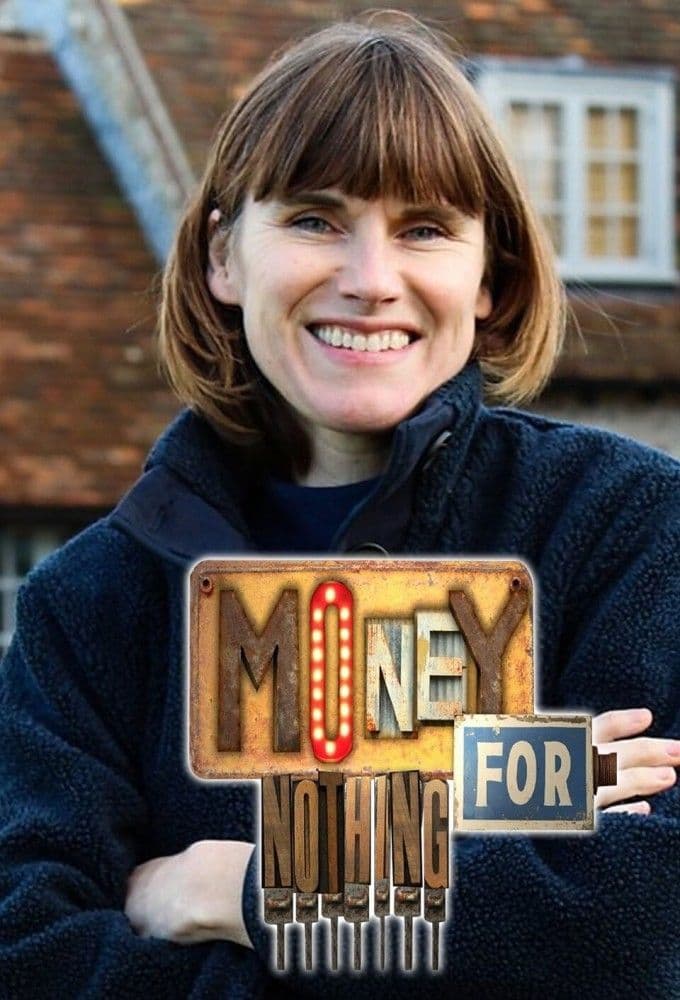 Money For Nothing S19E08 480p WEB x264-RMTeam