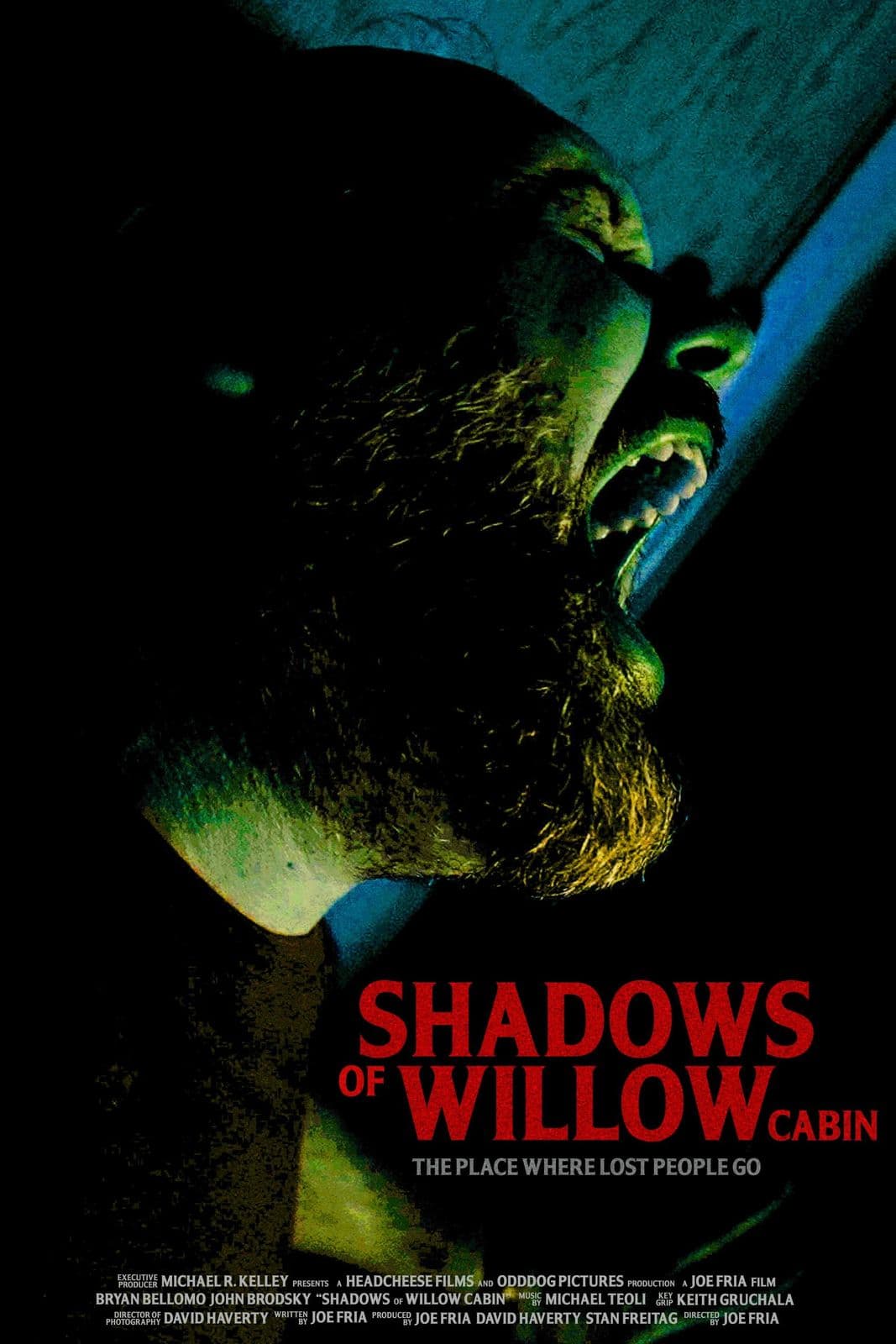 Shadows Of Willow Cabin 2025 720p WEBRip-LAMA