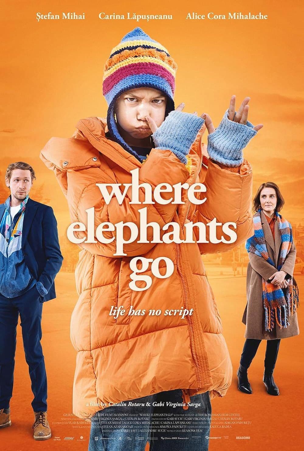 Where Elephants Go 2024 1080p WEBRip-WORLD